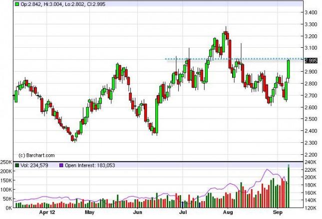 Natural Gas Forecast September 12, 2012, Technical Analysis