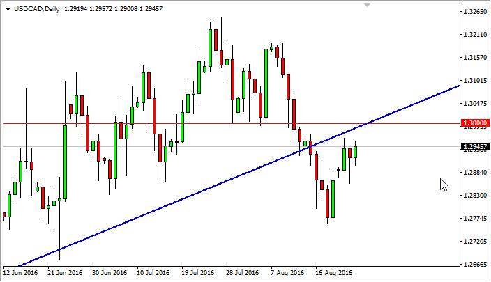 USD/CAD Forecast August 25, 2016, Technical Analysis