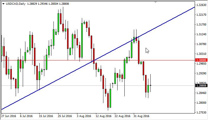 USD/CAD Forecast September 9, 2016, Technical Analysis